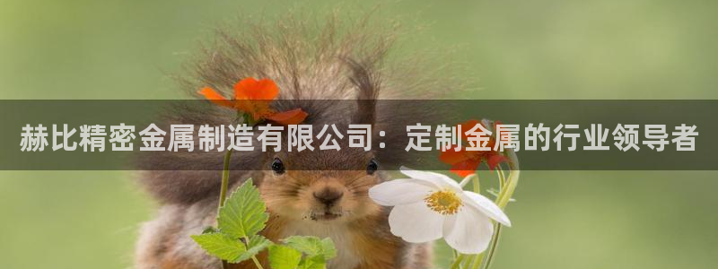 彩神v8有多久了?靠谱吗：赫比精密金属制造有限公司：定制金属的行业领导者