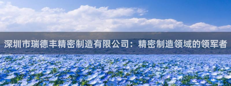 彩神大发如何观察走势：深圳市瑞德丰精密制造有限公司：精密制造领域的领军者