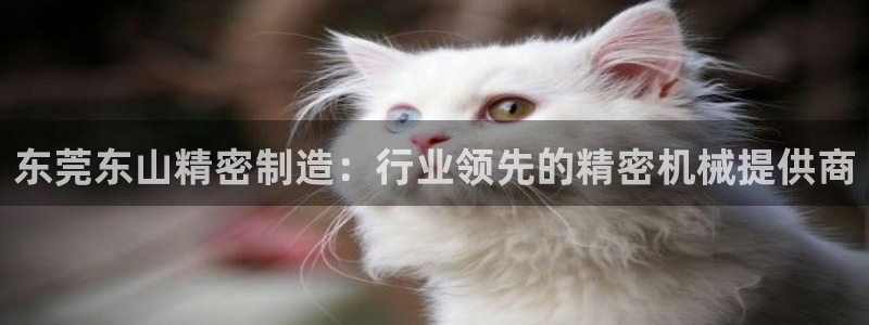 彩神是怎样一个平台：东莞东山精密制造：行业领先的精密机械提供商