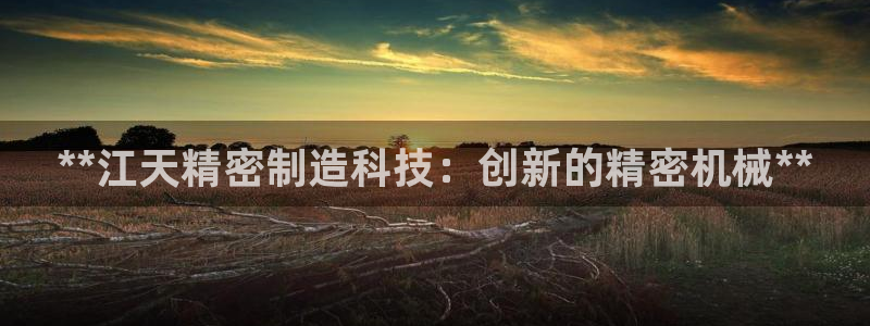 新版彩神v8登录不了：**江天精密制造科技：创新的精密机械**