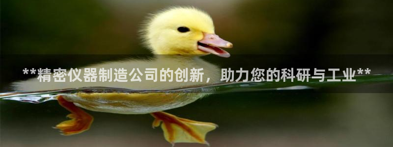 彩神vl官网：**精密仪器制造公司的创新，助力您的科研与工业**