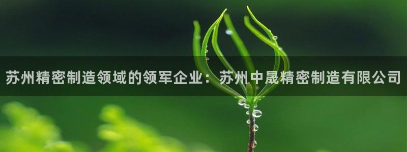 彩神8彩平台客服：苏州精密制造领域的领军企业：苏州中晟精密制造有限公司