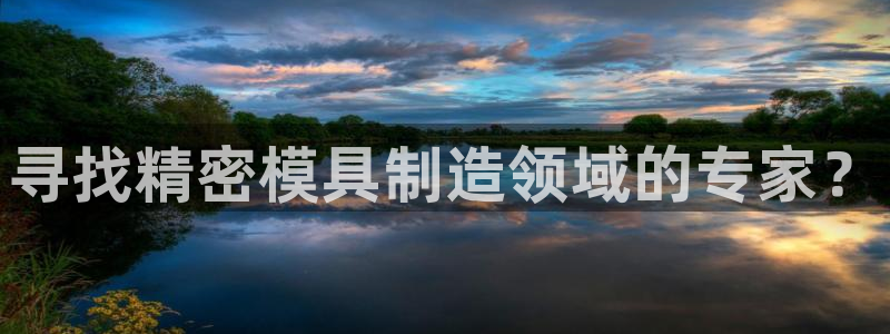 在彩神网输了六万多怎么拿回来：寻找精密模具制造领域的专家？