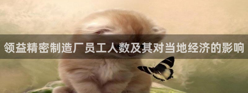 所有彩神购买首页：领益精密制造厂员工人数及其对当地经济的影响