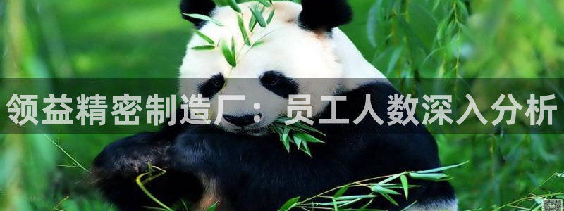 彩神争霸平台：领益精密制造厂：员工人数深入分析