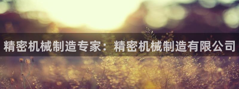 彩神8官网版是正规的吗：精密机械制造专家：精密机械制造有限公司