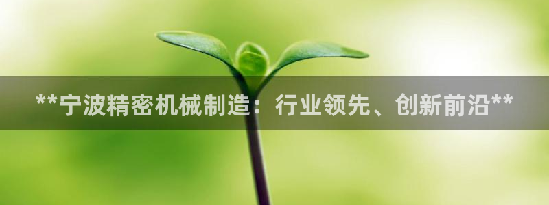 彩神购彩-购彩大厅入口500：**宁波精密机械制造：行业领先、创新前沿**