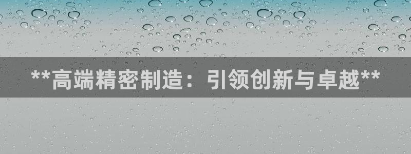 彩神ix官网：**高端精密制造：引领创新与卓越**