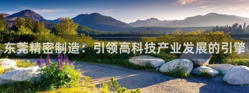 彩神是什么平台的游戏
