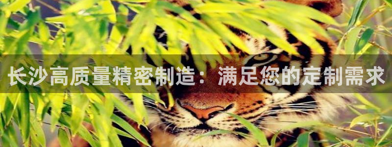 彩神8官网下