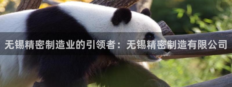 彩神争霸平台