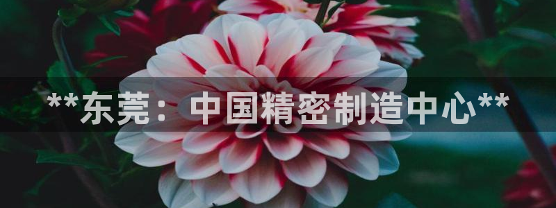 彩神V官网