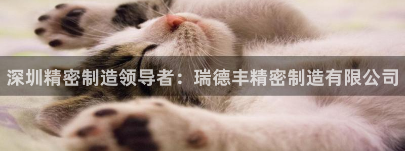 彩神v8是一个什么平台啊
