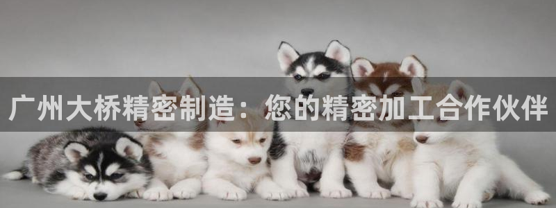 彩神iv能赚钱吗