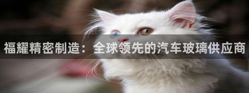 彩神赢的钱是哪里来的