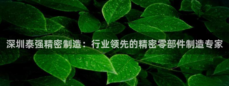 下载彩神通关注码：深圳泰强精密制造：行业领先的精密零部件制造专家