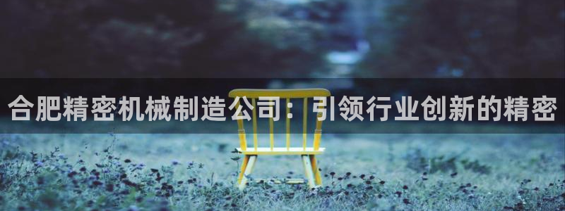 彩神VI首页：合肥精密机械制造公司：引领行业创新的精密