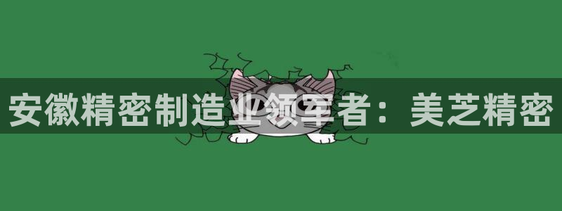 彩神vii购彩l心：安徽精密制造业领军者：美芝精密