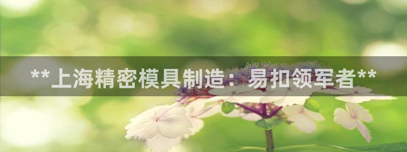 在彩神网输了六万多怎么拿回来：**上海精密模具制造：易扣领军者**