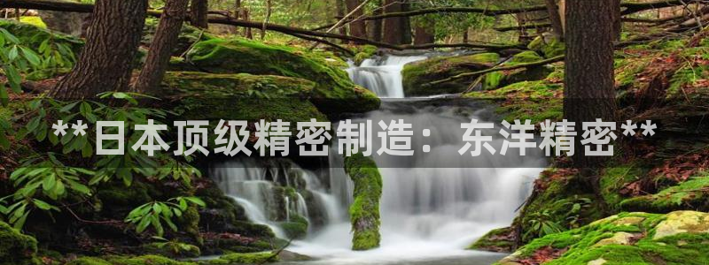 彩神 好 平台：**日本顶级精密制造：东洋精密**