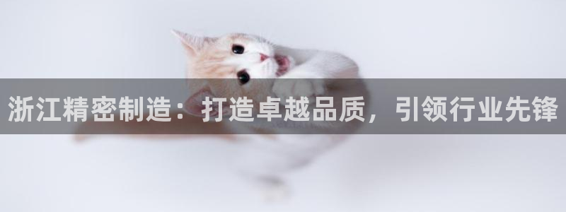 彩神v8下载app5.0：浙江精密制造：打造卓越品质，引领行业先锋