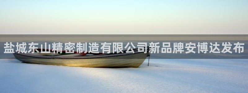 彩神ix是真的吗：盐城东山精密制造有限公司新品牌安博达发布