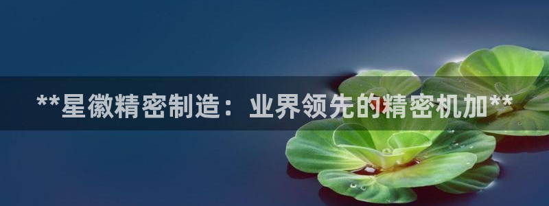 彩神ⅴll用户登录：**星徽精密制造：业界领先的精密机加**