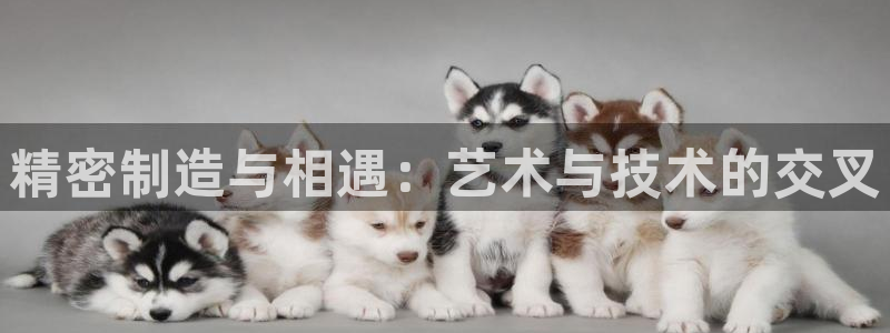 彩神VII购彩中心：精密制造与相遇：艺术与技术的交叉