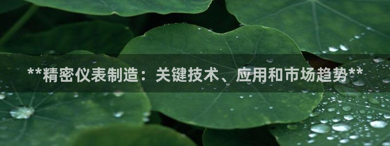 彩神v8是真的挣钱吗：**精密仪表制造：关键技术、应用和市场趋势**