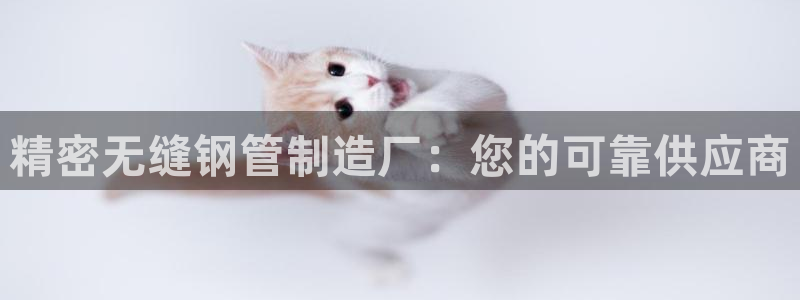 彩神购彩-购彩大厅入口计划群：精密无缝钢管制造厂：您的可靠供应商