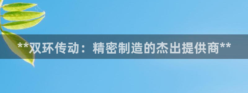 彩神v8客户端：**双环传动：精密制造的杰出提供商**