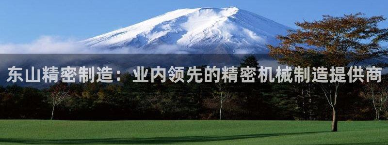 彩神iv争霸购彩大厅：东山精密制造：业内领先的精密机械制造提供商