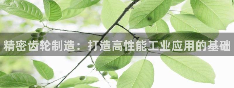 彩神 好 平台：精密齿轮制造：打造高性能工业应用的基础