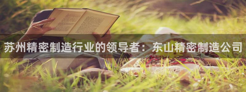 彩神大发官网：苏州精密制造行业的领导者：东山精密制造公司