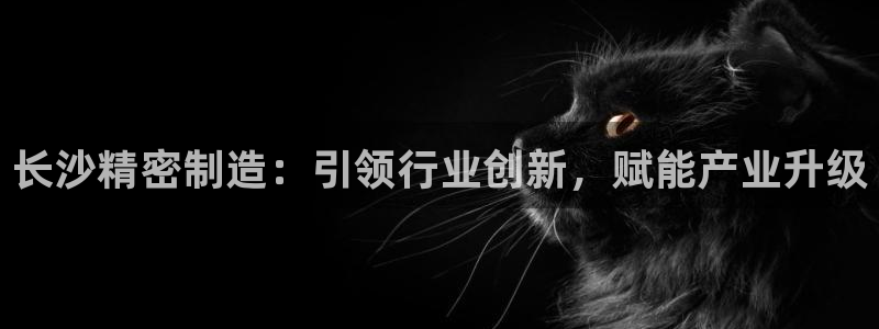 彩神争霸官网登录平台：长沙精密制造：引领行业创新，赋能产业升级