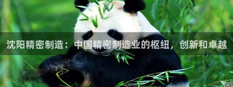 彩神vl购彩大厅：沈阳精密制造：中国精密制造业的枢纽，创新和卓越