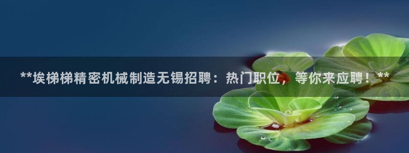 彩神邀请码:00-00-3267：**埃梯梯精密机械制造无锡招聘：热门职位，等你来应聘！**