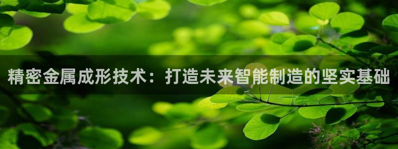 彩神购彩-购彩大厅入口：精密金属成形技术：打造未来智能制造的坚实基础