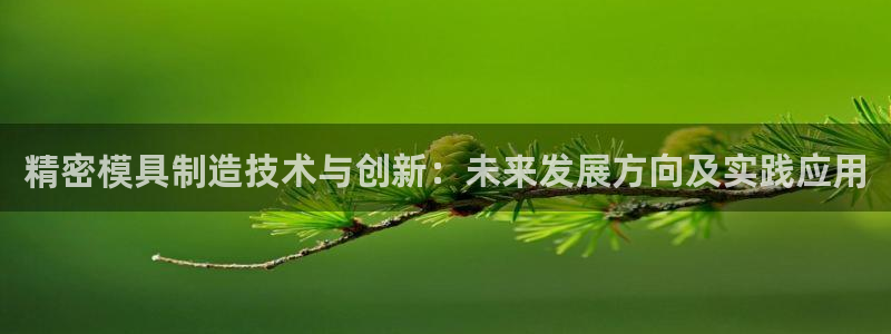 彩神vip官方网站：精密模具制造技术与创新：未来发展方向及实践应用
