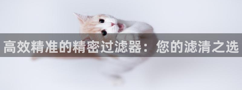 彩神v8官网版：高效精准的精密过滤器：您的滤清之选