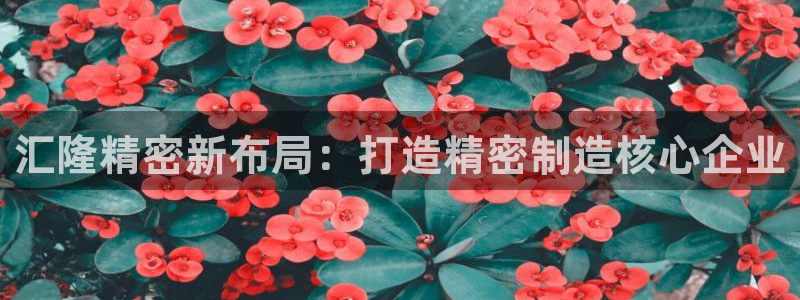 彩神v8手机客户端怎么下载