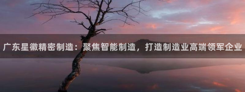 彩神v1破解器：广东星徽精密制造：聚焦智能制造，打造制造业高端领军企业