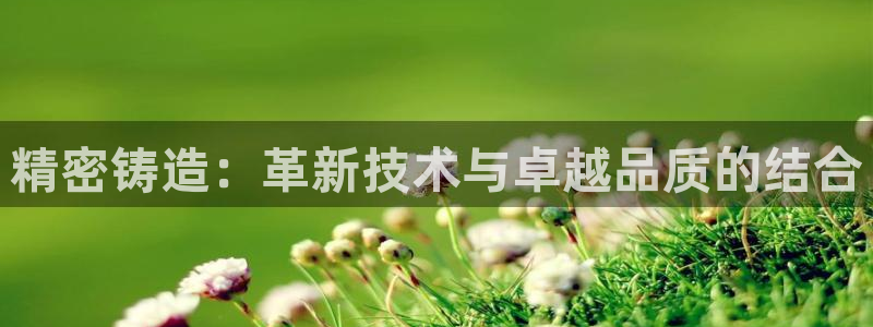 彩神vll官网在线登录：精密铸造：革新技术与卓越品质的结合