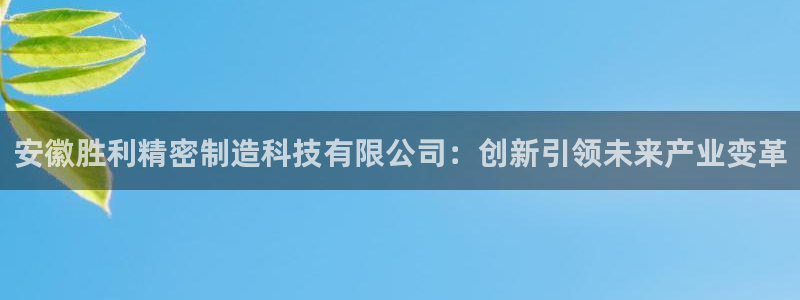 彩神平台是真的吗：安徽胜利精密制造科技有限公司：创新引领未来产业变革