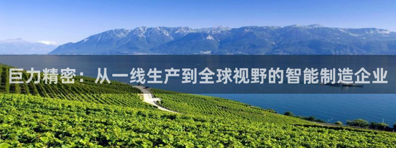 彩神通关注码金码对应