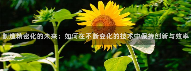 彩神输的钱是赌博还是诈骗：制造精密化的未来：如何在不断变化的技术中保持创新与效率