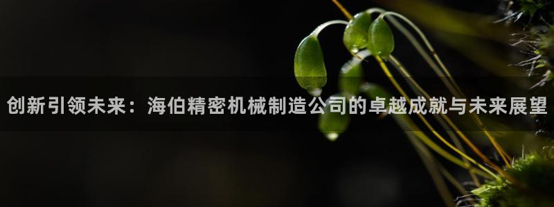 彩神v8是真的挣钱吗知乎：创新引领未来：海伯精密机械制造公司的卓越成就与未来展望