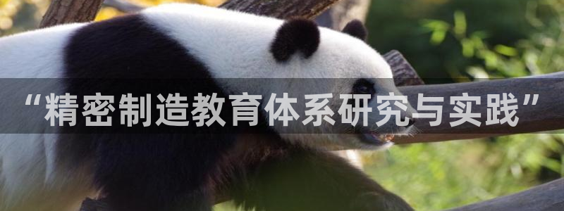彩神v8客户端：“精密制造教育体系研究与实践”