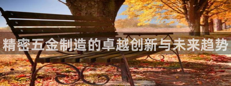 彩神购彩-购彩大厅入口下载：精密五金制造的卓越创新与未来趋势