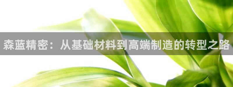 彩神系列平台：森蓝精密：从基础材料到高端制造的转型之路